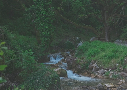 Ο Κόζιακας: Το βουνό που γεννά υγεία